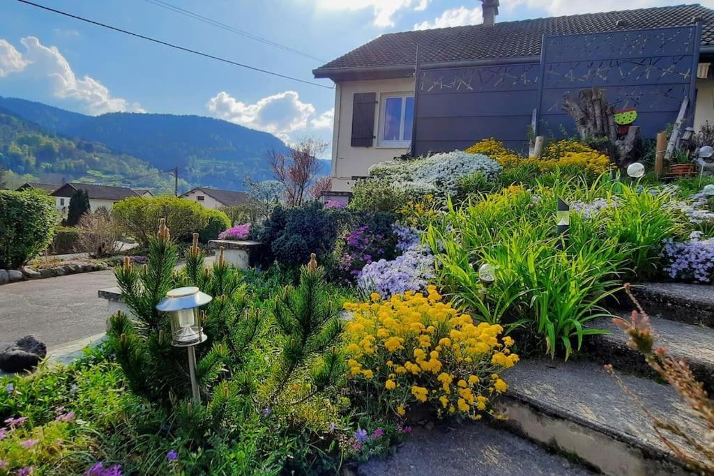 Plain-Pied Proche Base De Loisirs Et Voie Verte Saulxures-sur-Moselotte Extérieur photo