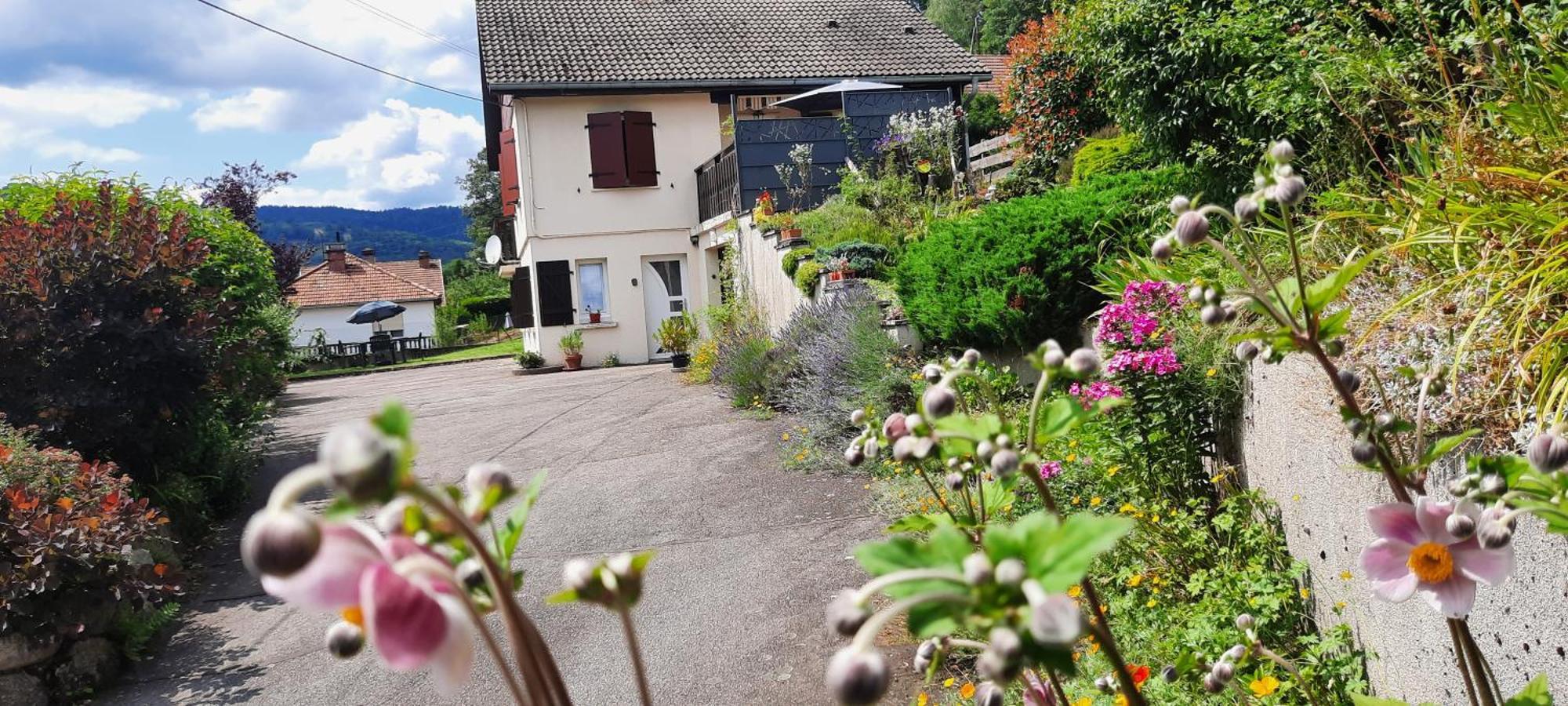 Plain-Pied Proche Base De Loisirs Et Voie Verte Saulxures-sur-Moselotte Extérieur photo