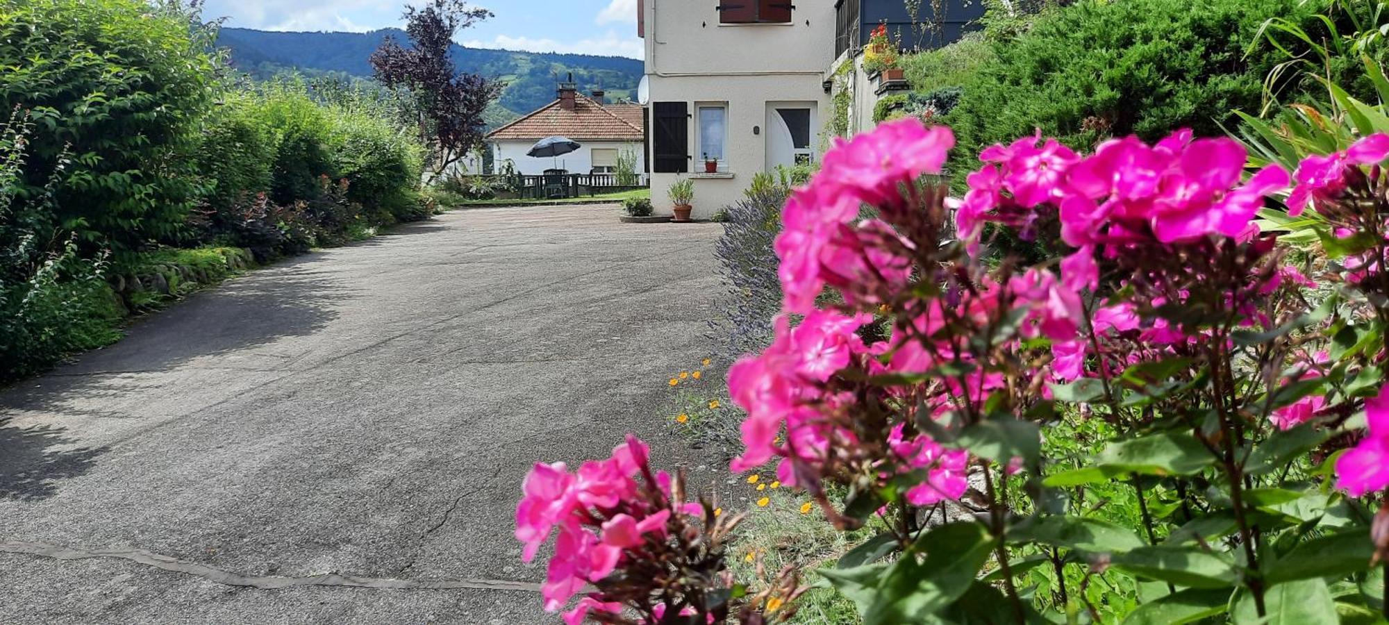 Plain-Pied Proche Base De Loisirs Et Voie Verte Saulxures-sur-Moselotte Extérieur photo